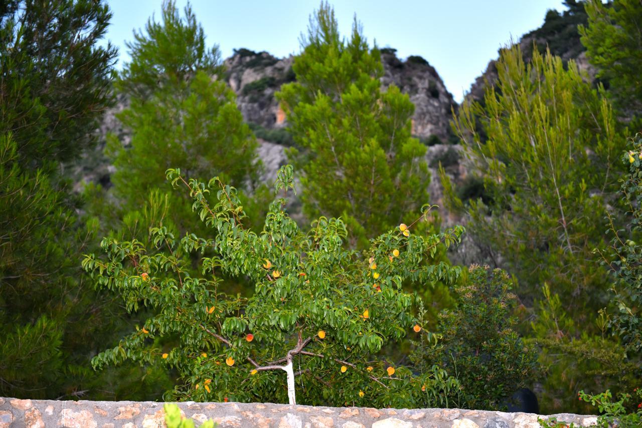 Bay View Διαμέρισμα
